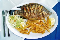 Israeli restaurants in Vienna
